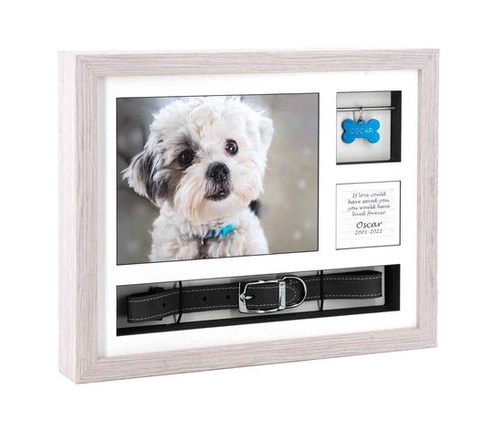 Collar & Tag Urn