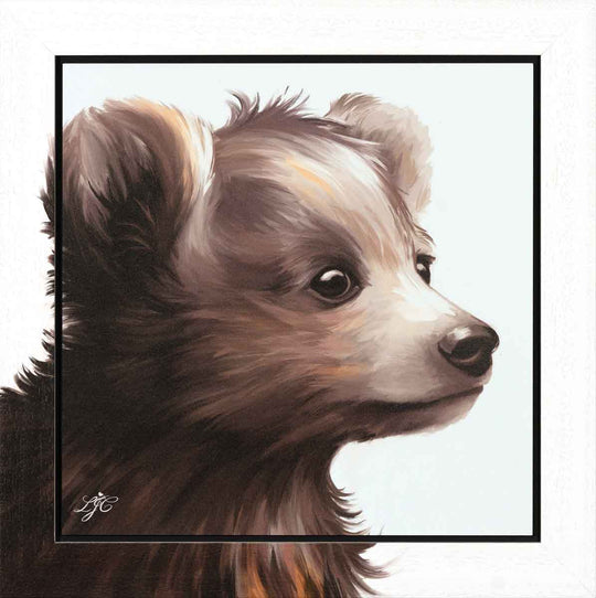 Life In The Woods - Series 1