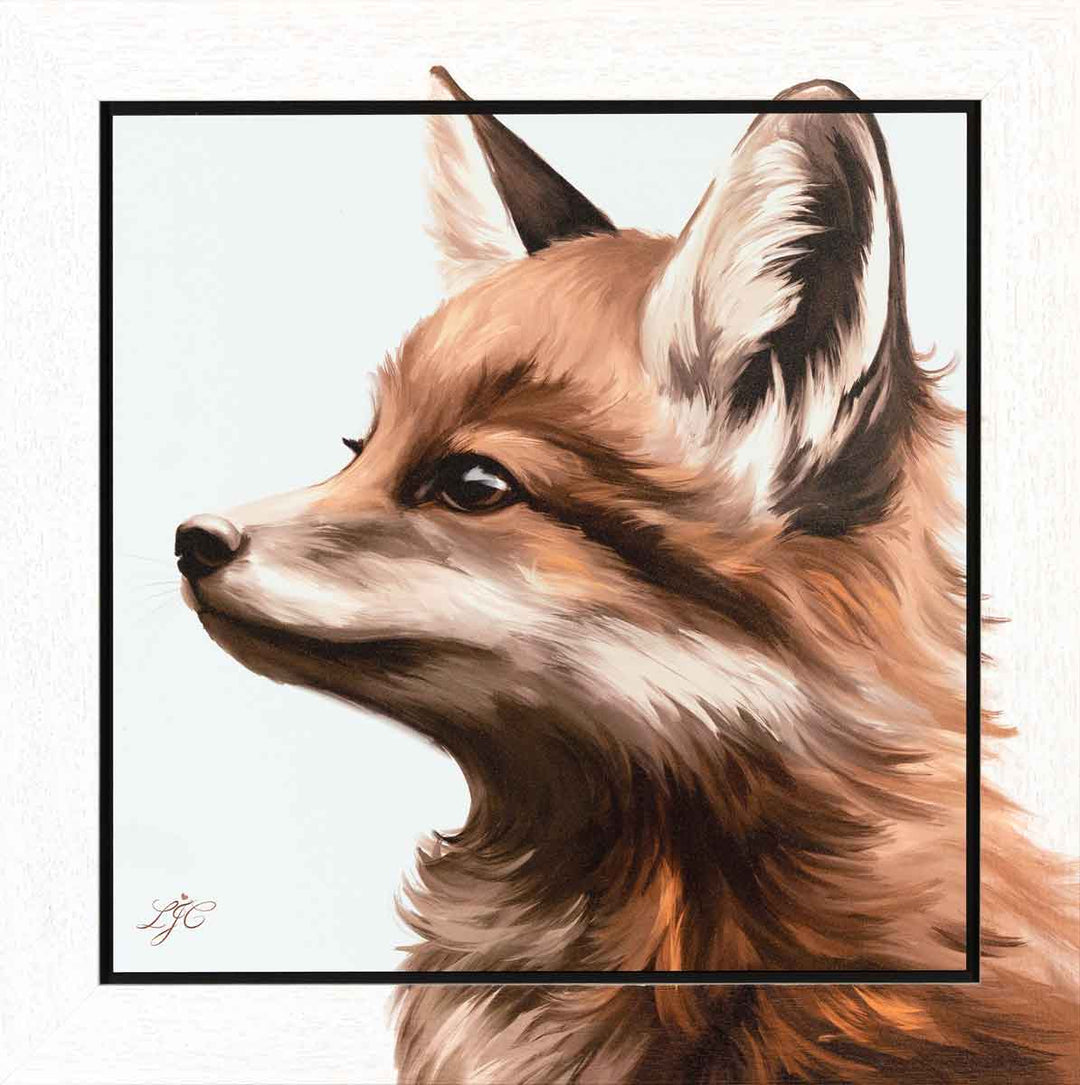 Life In The Woods - Series 1