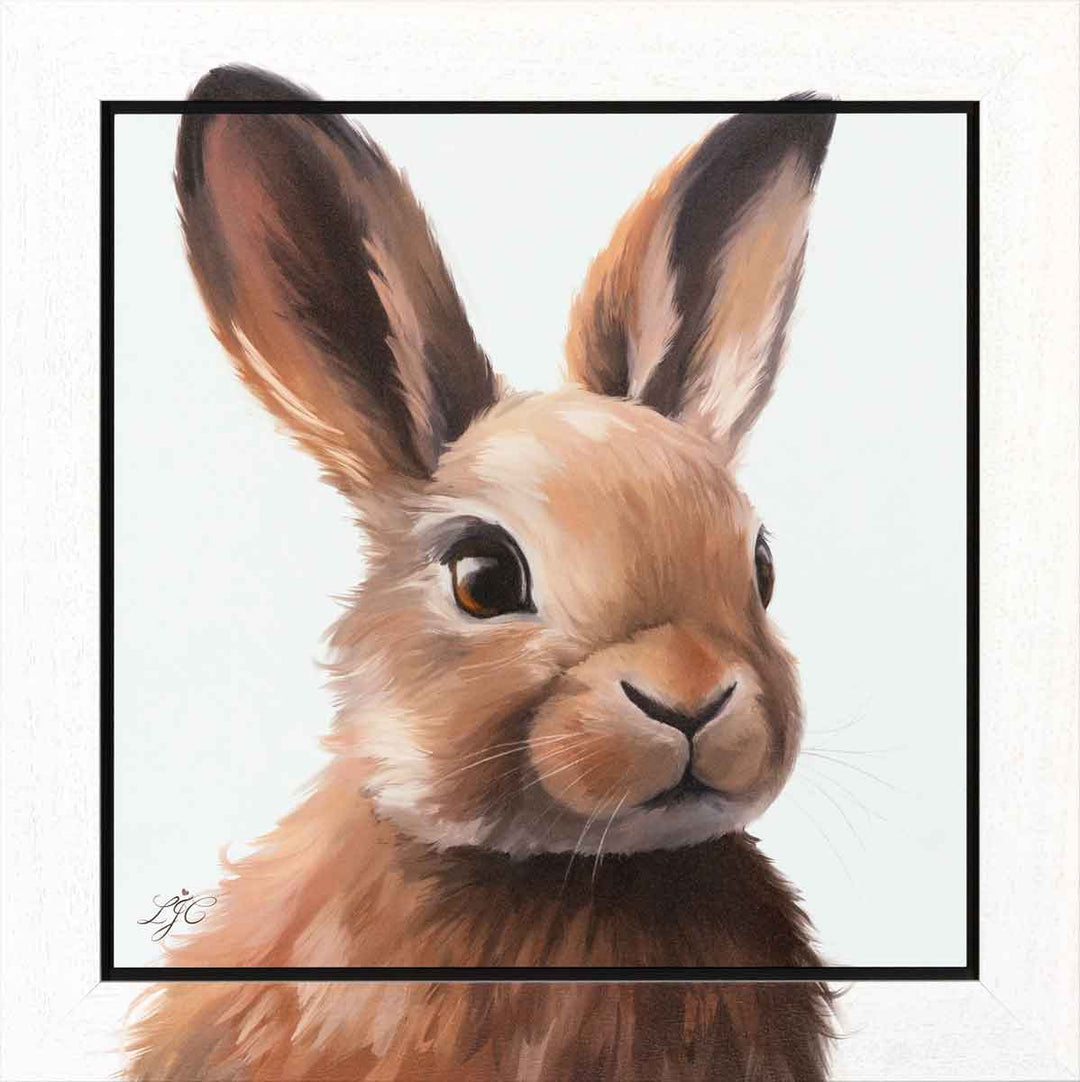 Life In The Woods - Series 1