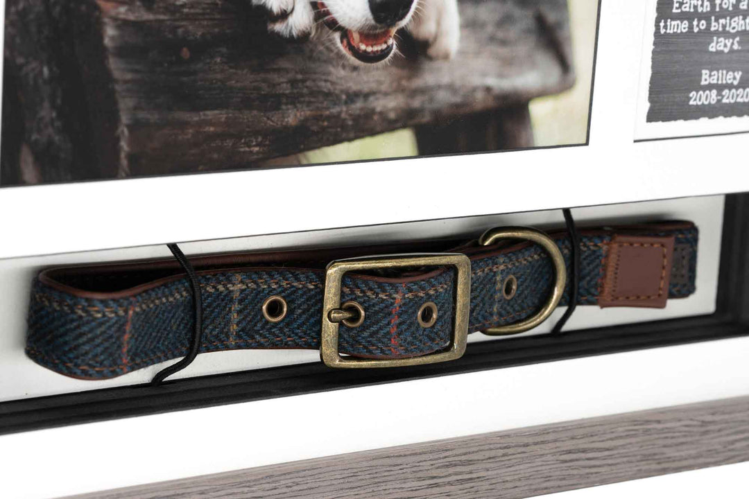 Collar & Tag Urn