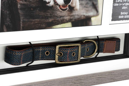 Collar & Tag Urn