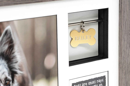 Collar & Tag Urn